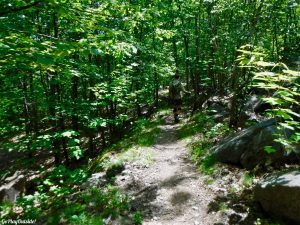 Cadillac Mountain Acadia National Park Maine CATT Challenge Cadillac All The Trails