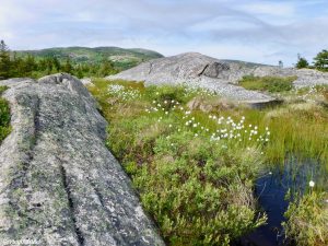 Cadillac Mountain Acadia National Park Maine CATT Challenge Cadillac All The Trails