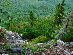 Little Spencer Mountain Hiking Bangor Outdoor Club Maine 