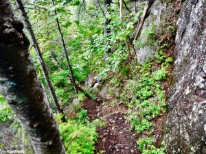 Little Spencer Mountain Hiking Bangor Outdoor Club Maine 