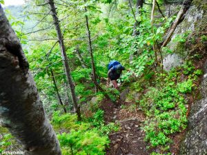 Little Spencer Mountain Hiking Bangor Outdoor Club Maine 