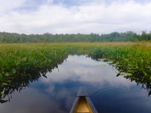 Moosehorn Stream Hothole Stream Hothole Pond Canoeing Paddling Great Pond Conservation Trust Wildlands Orland Maine