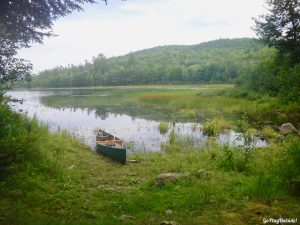 Moosehorn Stream Hothole Stream Hothole Pond Canoeing Paddling Great Pond Conservation Trust Wildlands Orland Maine