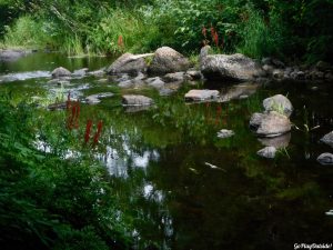 Moosehorn Stream Hothole Stream Hothole Pond Canoeing Paddling Great Pond Conservation Trust Wildlands Orland Maine