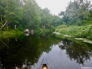 Moosehorn Stream Hothole Stream Hothole Pond Canoeing Paddling Great Pond Conservation Trust Wildlands Orland Maine