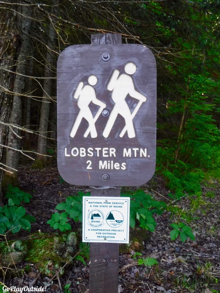 Hiking Lobster Mountain and Canoe Camping on Lobster Lake Go Play