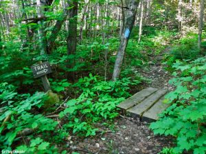 Maine Hiking Canoeing Canoe Camping Lobster Lake Lobster Stream Lobster Mountain