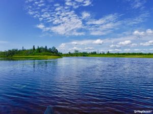 Maine Hiking Canoeing Canoe Camping Lobster Lake Lobster Stream Lobster Mountain