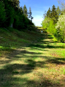 The Mahoosuc Ridge to the River Challenge