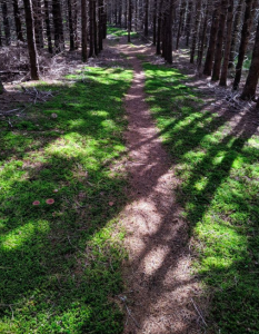 A Bad Little Trail Run Downeast Conservation Race Series 2019