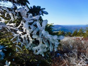 Bald Mountain Gilmore Peak Parkman Mountain Sargent Mountain Acadia National Park