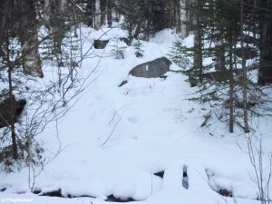 BOC Winter Hike of the Crockers North Crocker South Crocker 4000 Footer Winter Snowshoe