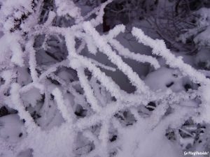 BOC Winter Hike of the Crockers North Crocker South Crocker 4000 Footer Winter Snowshoe