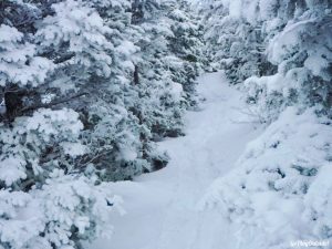 BOC Winter Hike of the Crockers North Crocker South Crocker 4000 Footer Winter Snowshoe