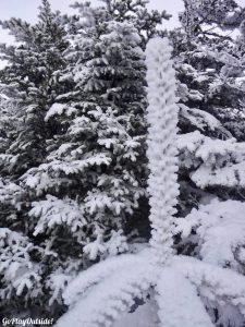 BOC Winter Hike of the Crockers North Crocker South Crocker 4000 Footer Winter Snowshoe