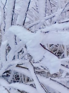 Bangor Outdoor Club Saddleback The Horn Winter Hike Rangeley Maine 