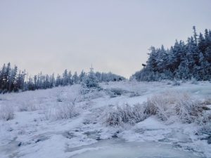 Bangor Outdoor Club Saddleback The Horn Winter Hike Rangeley Maine 