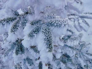 Bangor Outdoor Club Saddleback The Horn Winter Hike Rangeley Maine 