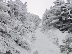 Bangor Outdoor Club Saddleback The Horn Winter Hike Rangeley Maine 