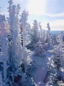 Bangor Outdoor Club Saddleback The Horn Winter Hike Rangeley Maine 