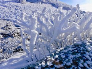 Bangor Outdoor Club Saddleback The Horn Winter Hike Rangeley Maine 