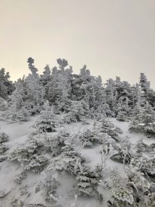 Bangor Outdoor Club Saddleback The Horn Winter Hike Rangeley Maine 