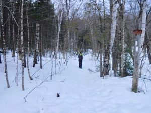 Little Bigelow Winter Hike Snowshoe