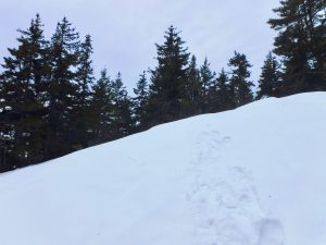 Little Bigelow Winter Hike Snowshoe