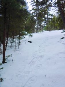 Little Bigelow Winter Hike Snowshoe