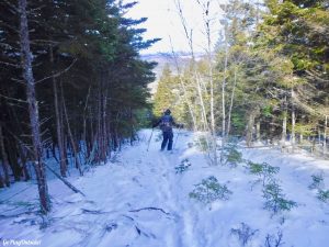 Great Pond Mountain Wildlands Orland Maine Winter Hike