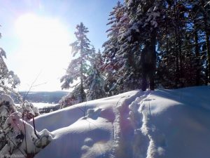 Greenville Moosehead Lake Area Little Moose Mountain Winter Snowshoe