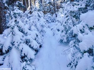 Greenville Moosehead Lake Area Little Moose Mountain Winter Snowshoe