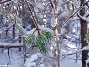 Greenville Moosehead Lake Area Little Moose Mountain Winter Snowshoe