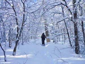 Greenville Moosehead Lake Area Little Moose Mountain Winter Snowshoe