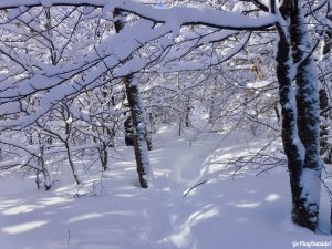 Greenville Moosehead Lake Area Little Moose Mountain Winter Snowshoe