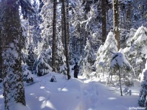 Greenville Moosehead Lake Area Little Moose Mountain Winter Snowshoe