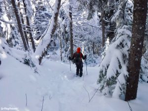 Greenville Moosehead Lake Area Little Moose Mountain Winter Snowshoe