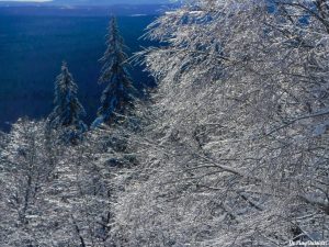 Greenville Moosehead Lake Area Little Moose Mountain Winter Snowshoe