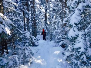 Greenville Moosehead Lake Area Little Moose Mountain Winter Snowshoe