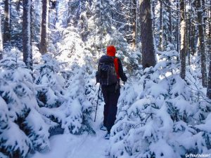 Greenville Moosehead Lake Area Little Moose Mountain Winter Snowshoe