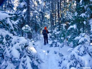 Greenville Moosehead Lake Area Little Moose Mountain Winter Snowshoe