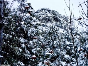 The Bigelows 4000 footers Avery Peak West Peak Maine Winter