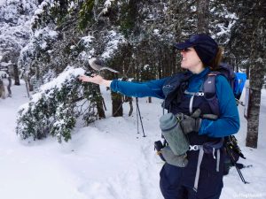 The Bigelows 4000 footers Avery Peak West Peak Maine Winter