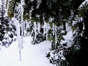 The Bigelows 4000 footers Avery Peak West Peak Maine Winter