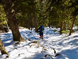 Acadia National Park Winter Hiking