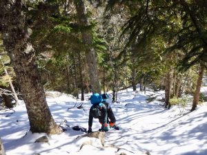 Acadia National Park Winter Hiking