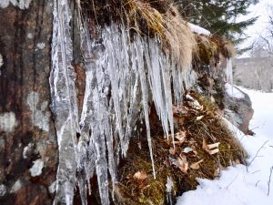 Winter Hiking Acadia National Park