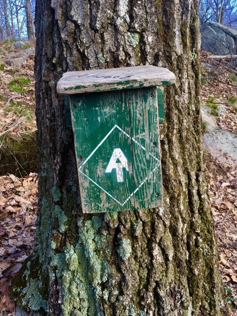Old Bright Green AT Hiker Wooden Registration Box